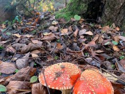 Подготовка к празднику 25.10.22