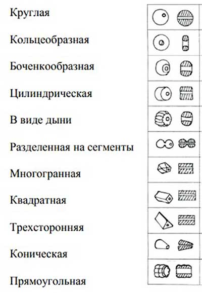 Бусины могут быть разной формы; есть много систем классификации бусин. Бусины могут быть разной формы; есть много систем классификации бусин.